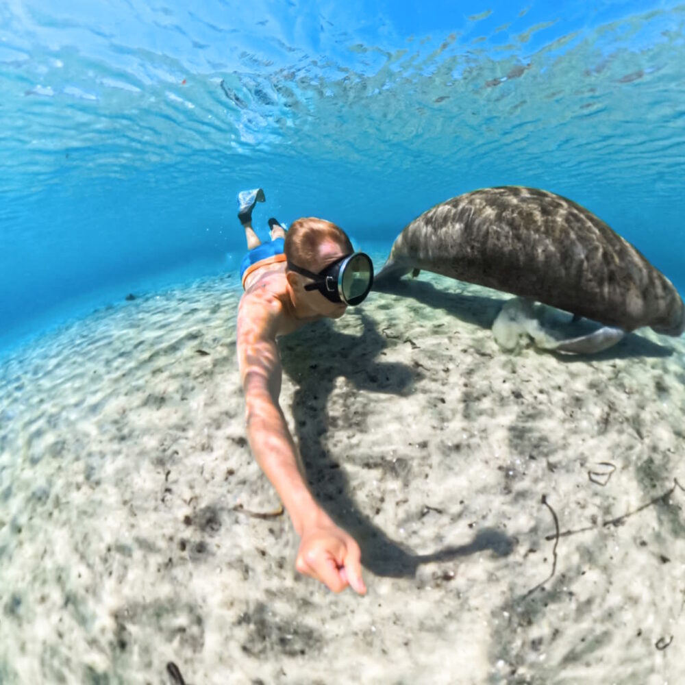Insta360 X5 INVISIBLE DIVE CASE - Caixa Estanque Invisível -  PRE VENDA - Image 6